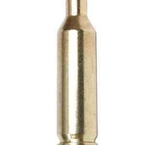 Remington 17 Remington Fireball Brass For Sale